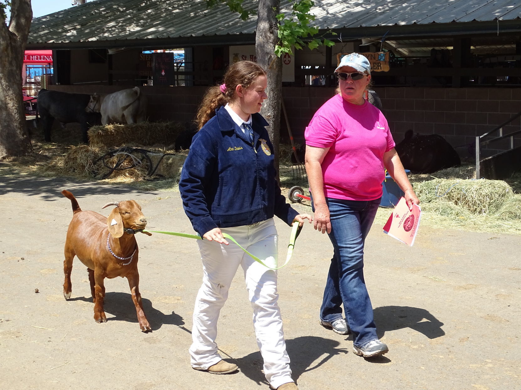Junior Livestock Auction 2019